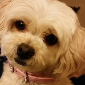 Meet your Posher, Maureen